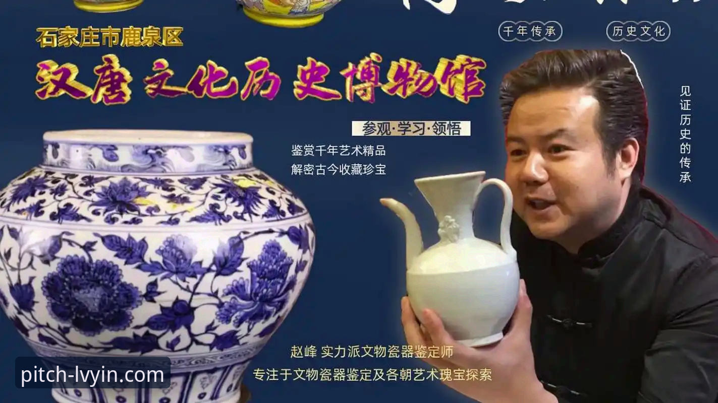 实战派用户赵峰：绿茵体育官网电脑版深度使用心得与高效访问指南